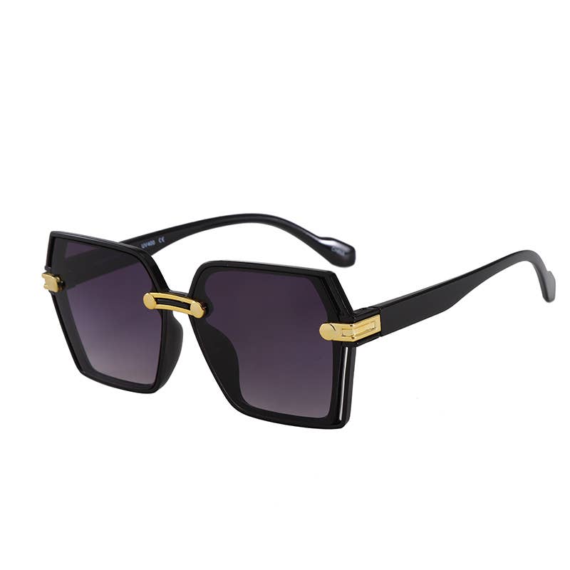 F3224, Large Trendy Frame With Gold Decor Arm Sunglasses