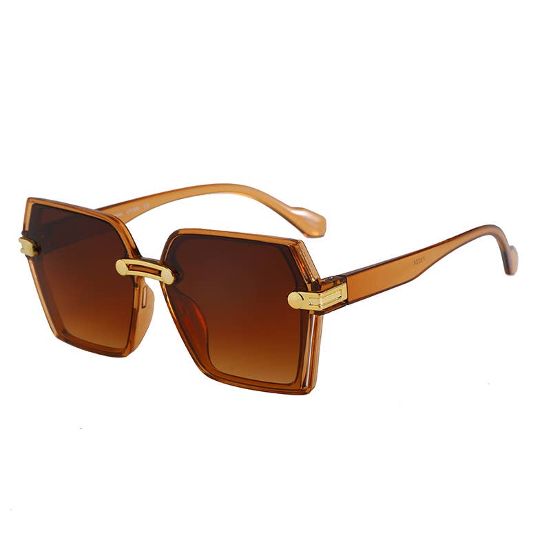 F3224, Large Trendy Frame With Gold Decor Arm Sunglasses