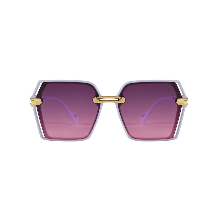 F3224, Large Trendy Frame With Gold Decor Arm Sunglasses